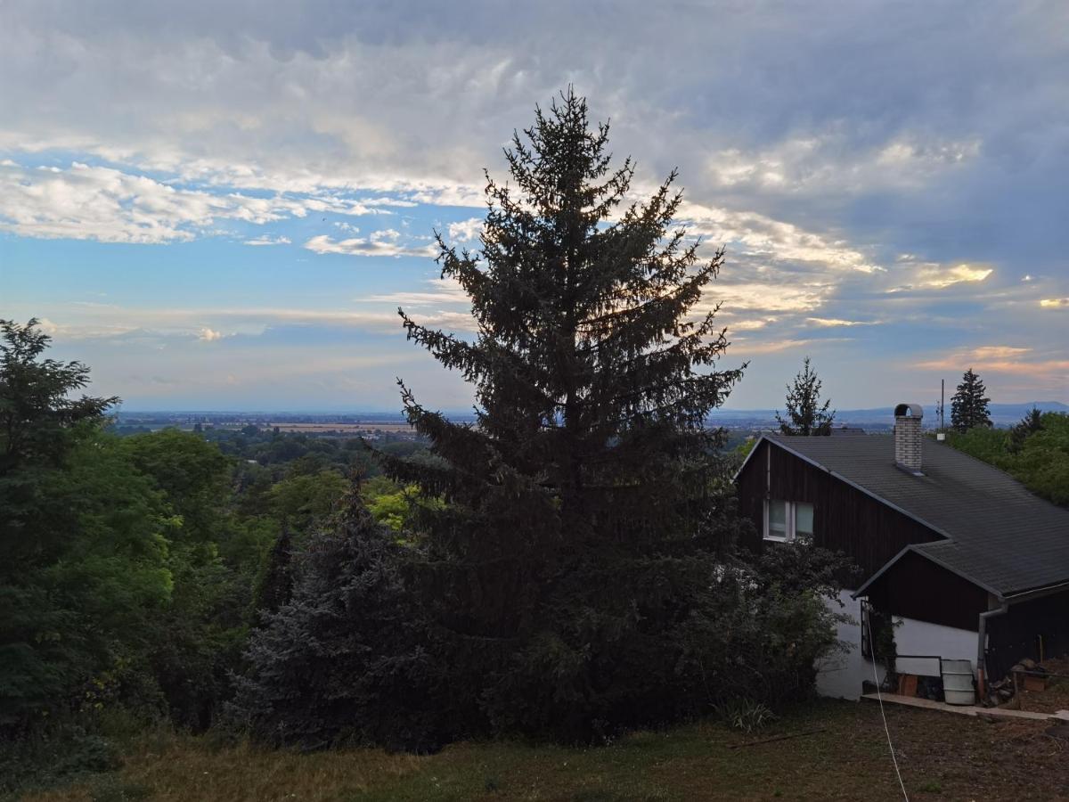 Sunset House Piestany Cervena Veza Apartment Banka Exterior foto